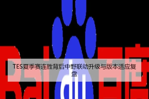 TES夏季赛连胜背后中野联动升级与版本适应复盘